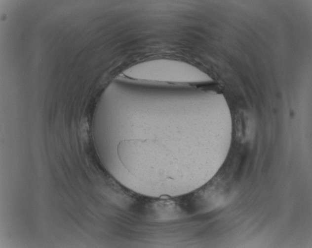 X0000077390279200611032009