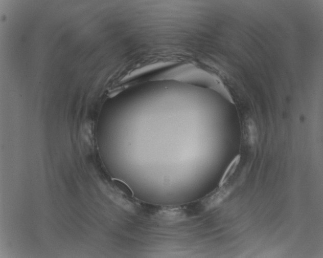 X0000077390280200611032009