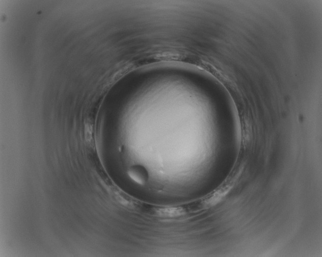 X0000077390281200611032009