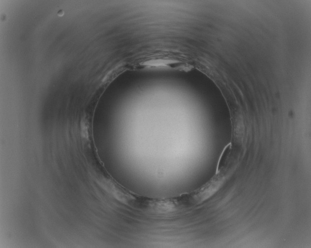 X0000077390282200611032009