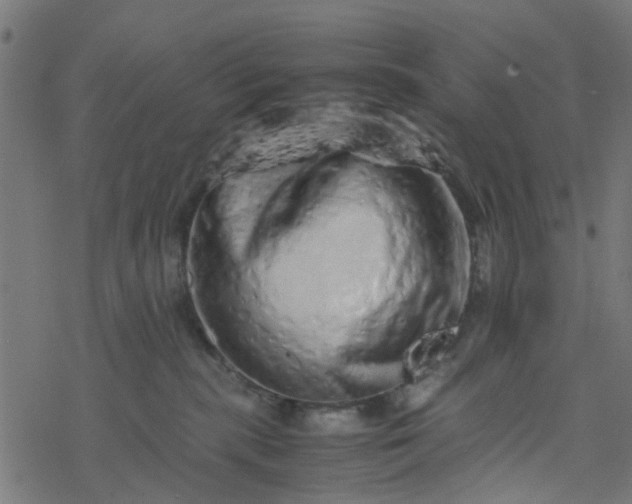 X0000077390283200611032009