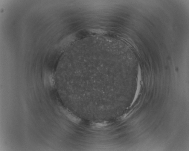 X0000077390285200611032009