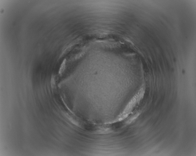 X0000077390286200611032009