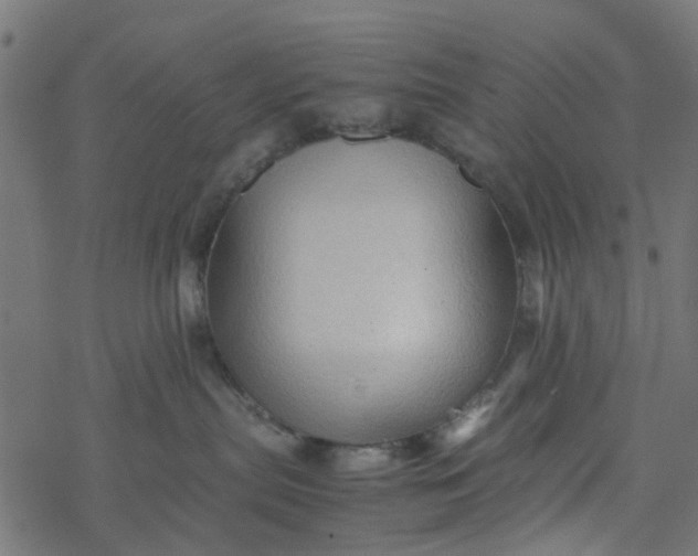 X0000077390287200611032009