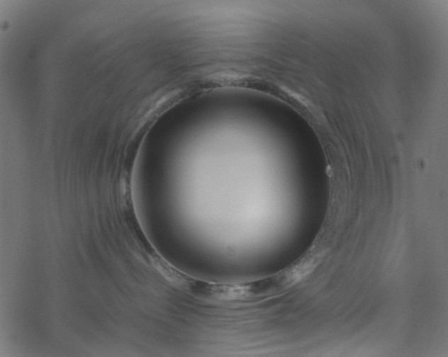 X0000077390288200611032009