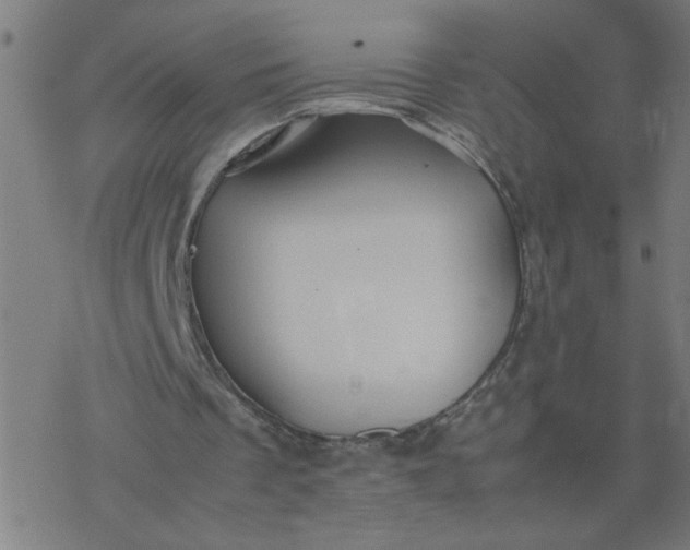 X0000077390289200611032008