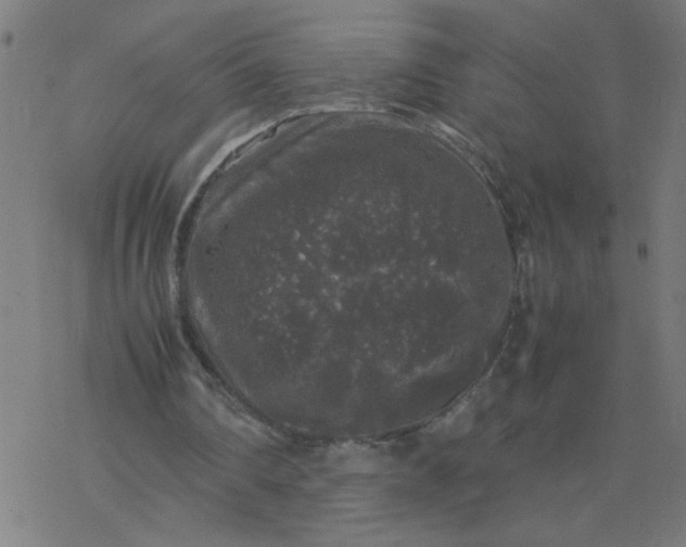 X0000077390290200611032008