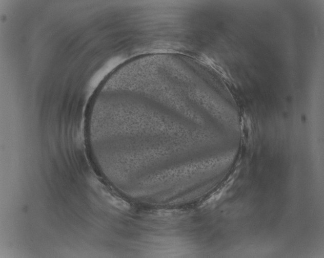 X0000077390292200611032008