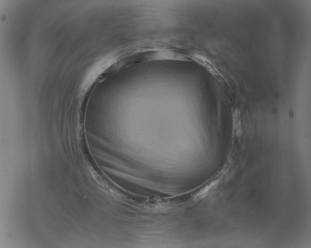 X0000077390293200611032008