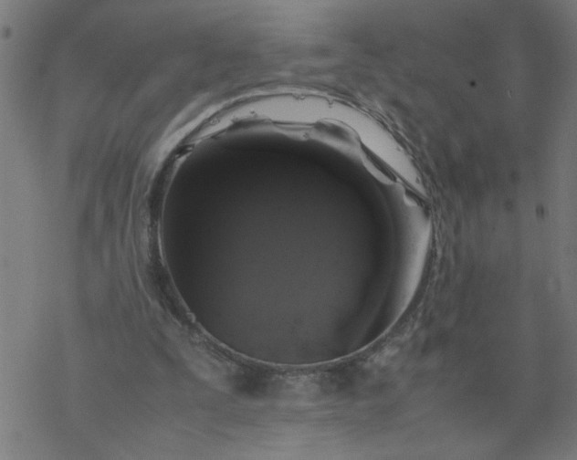 X0000077390295200611032008