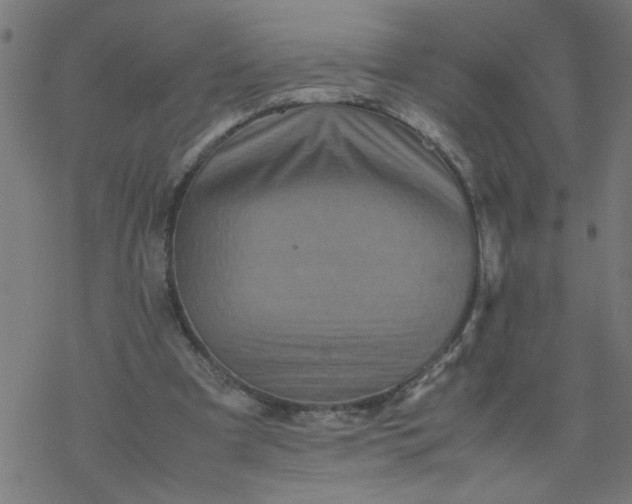 X0000077390297200611032008