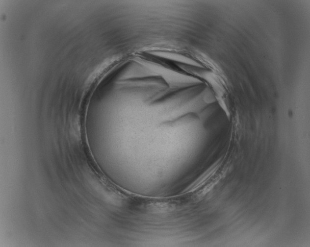 X0000077390298200611032008