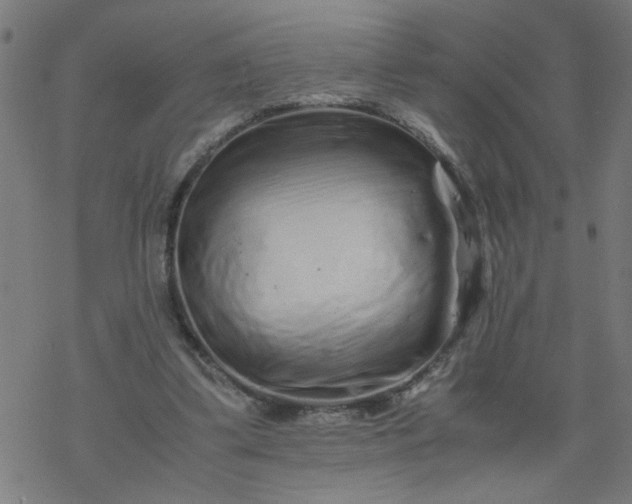 X0000077390299200611032008