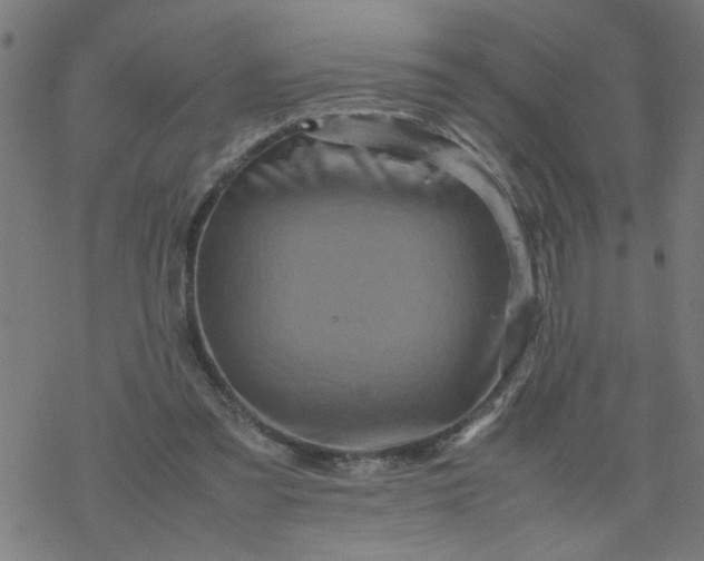 X0000077390301200611032008