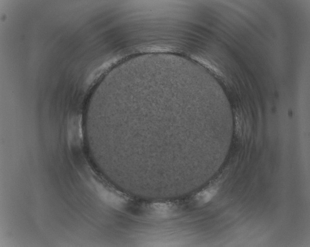 X0000077390302200611032008