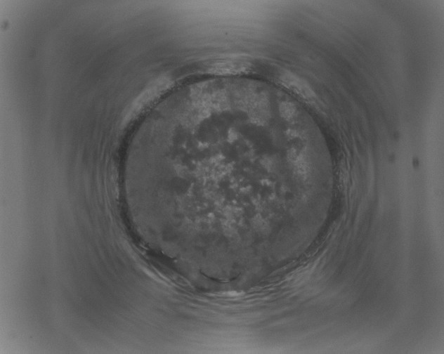 X0000077390303200611032008