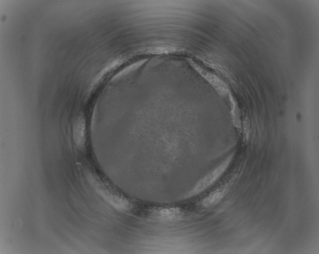 X0000077390304200611032008