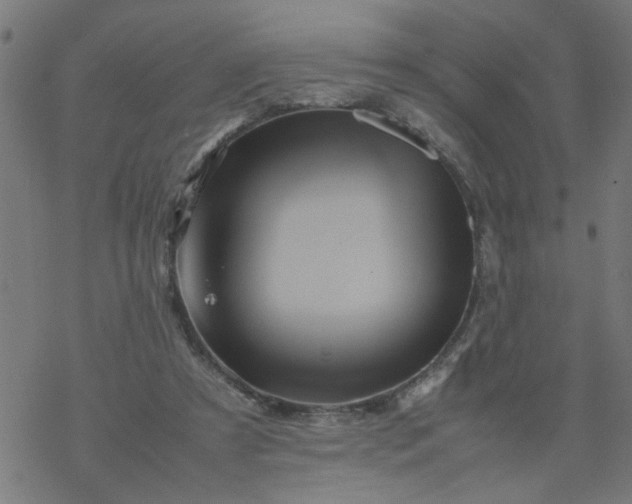 X0000077390305200611032008