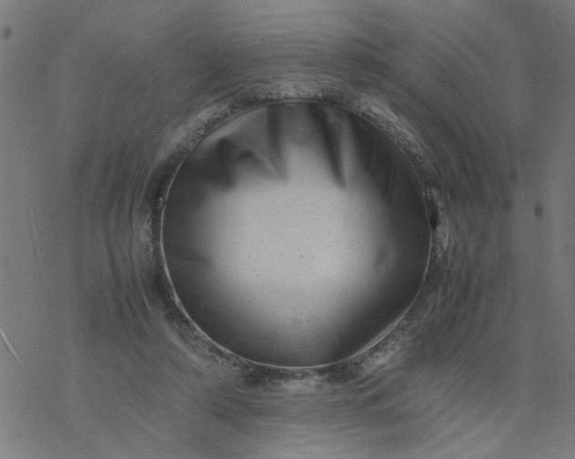 X0000077390306200611032008