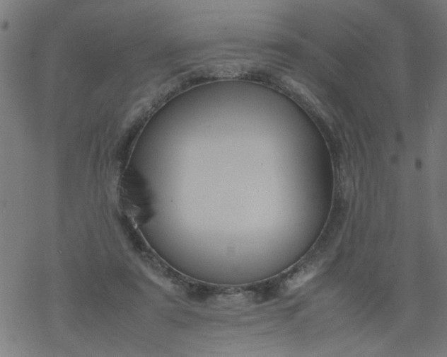 X0000077390307200611032008