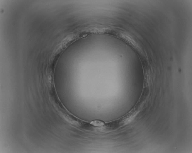 X0000077390309200611032008