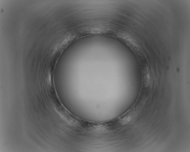 X0000077390310200611032008