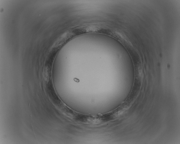 X0000077390311200611032008