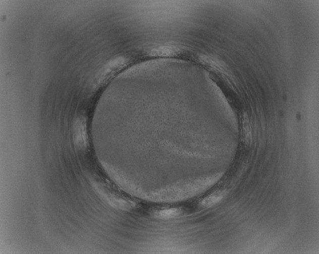 X0000077390312200611032008