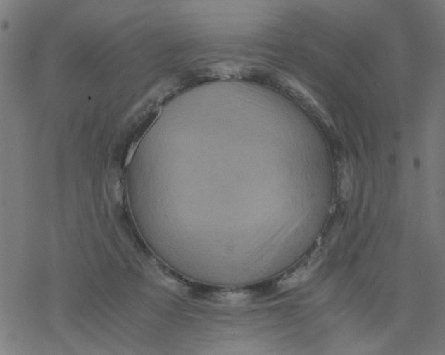 X0000077390313200611032008