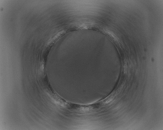 X0000077390314200611032008