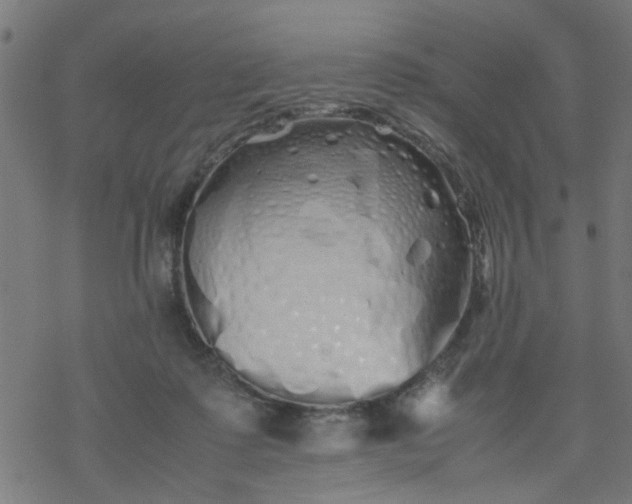 X0000077390315200611032008