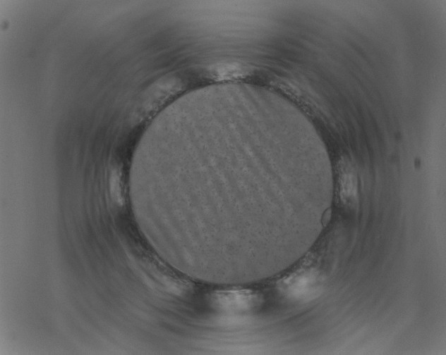 X0000077390316200611032008