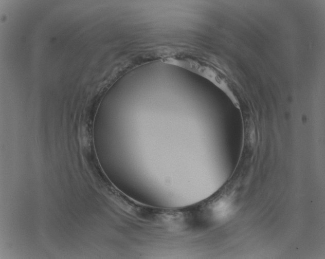 X0000077390317200611032008