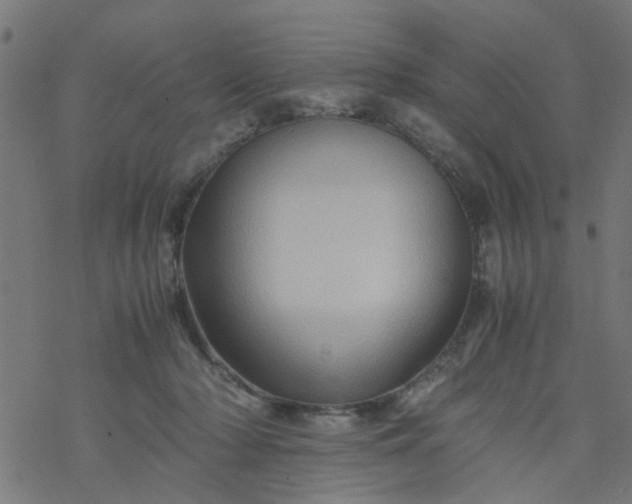 X0000077390318200611032008