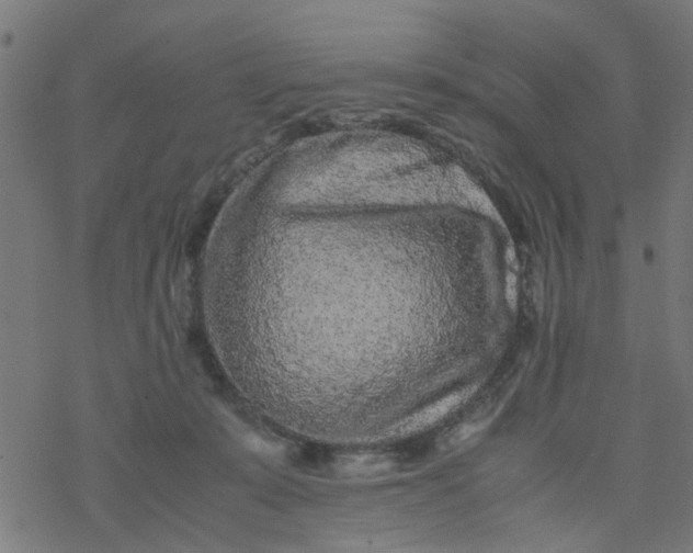 X0000077390319200611032008