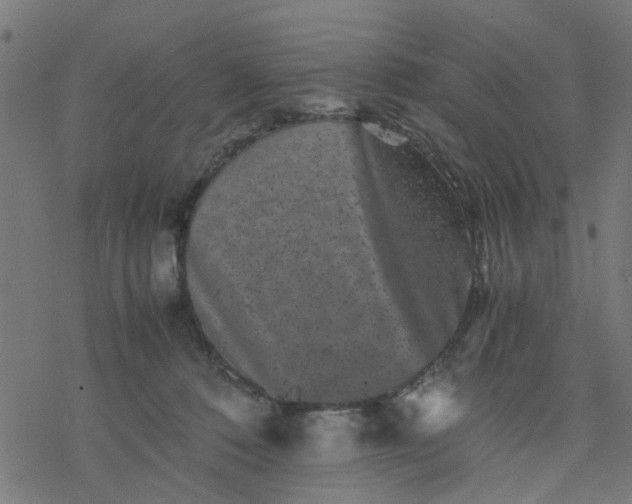 X0000077390320200611032008