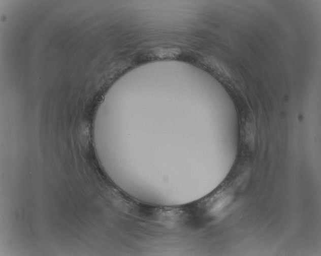 X0000077390321200611032008