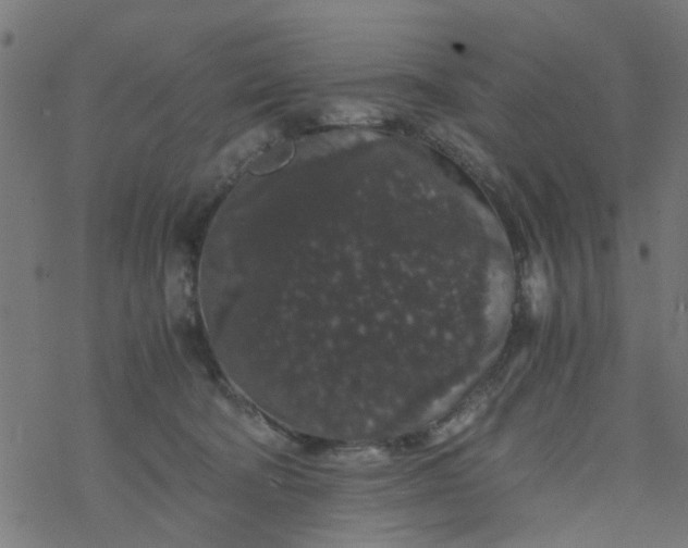 X0000077390322200611032008