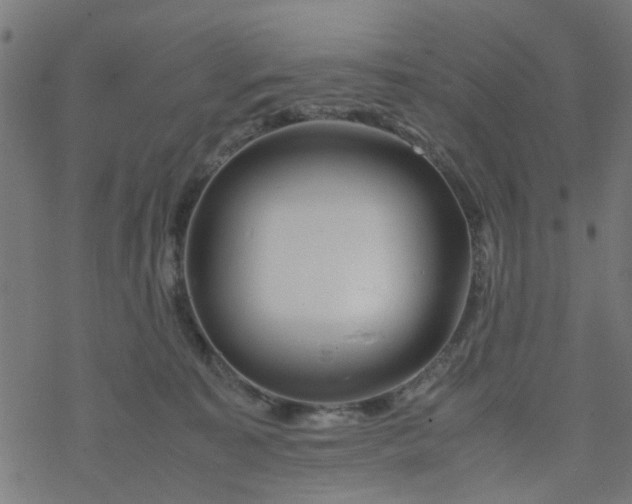 X0000077390323200611032008