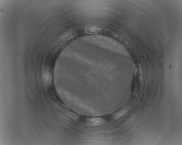 X0000077390324200611032008