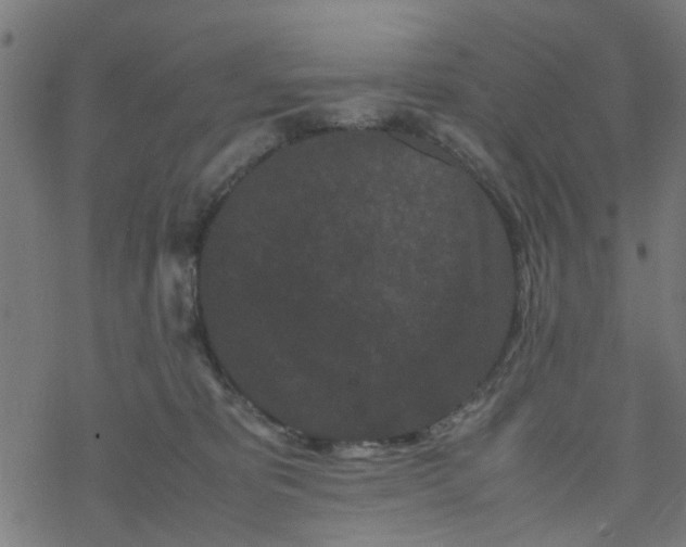 X0000077390325200611032008