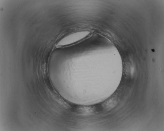 X0000077390326200611032008