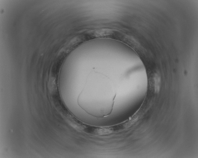 X0000077390327200611032008