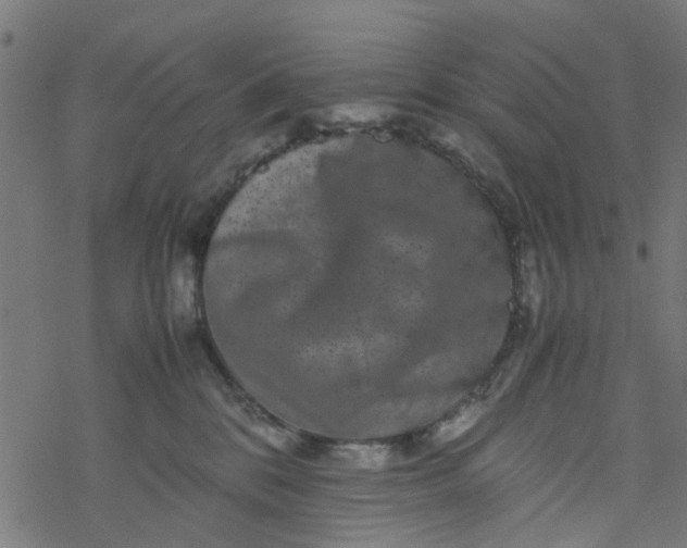 X0000077390328200611032008