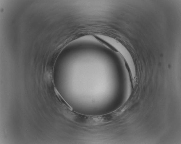 X0000077390329200611032008