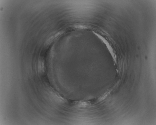 X0000077390330200611032008