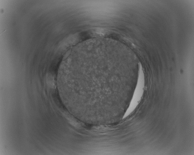 X0000077390331200611032008