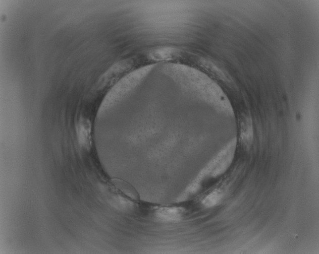 X0000077390332200611032008