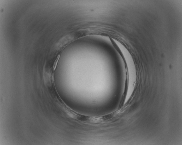 X0000077390333200611032008