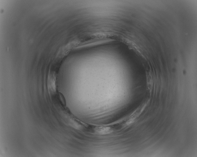 X0000077390334200611032008